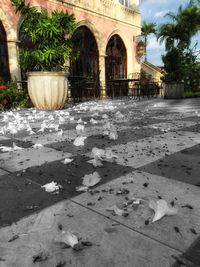 Built structure with trees in background