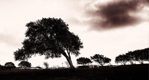 Silhouette trees on landscape against sky