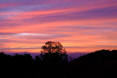 Silhouette trees on landscape against sky at sunset