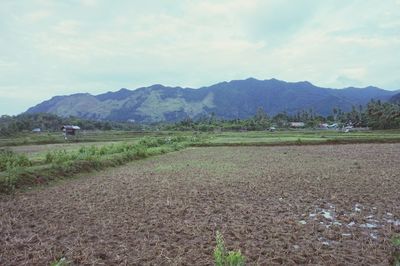 Scenic view of field against sky