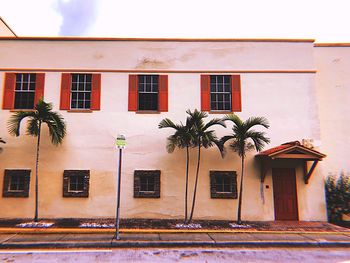 Low angle view of palm tree against building