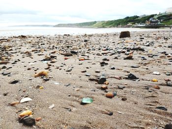 Close-up of stones on beach against sky