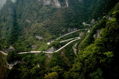 High angle view of road amidst trees in forest