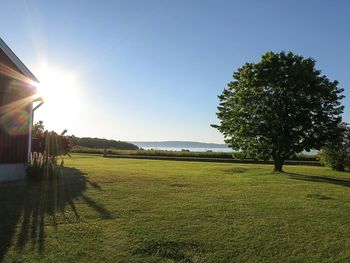 Scenic view of grassy field against clear sky