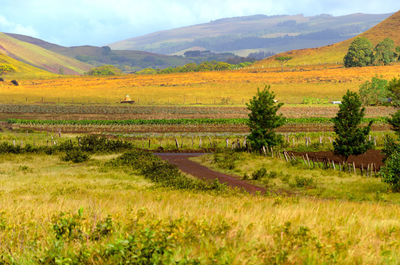 Scenic view of field against mountains at easter island