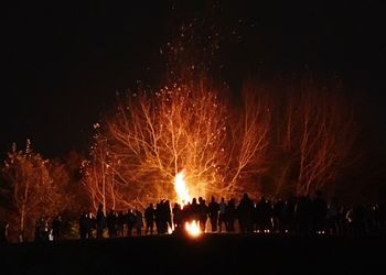 Silhouette people watching firework display at night