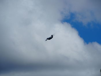 Low angle view of bird flying in sky