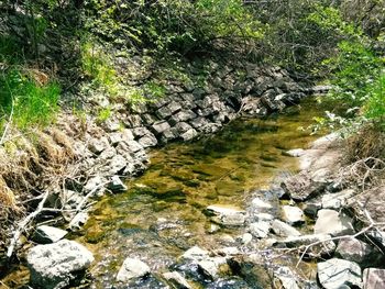 Stream flowing through rocks in forest