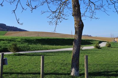 Fence on field against clear sky