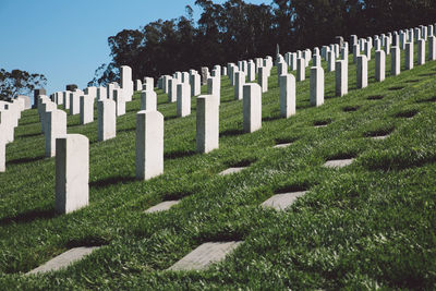 Tombstones in cemetery