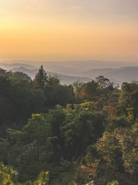 High angle view of trees on landscape against sky at sunset