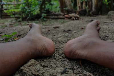 Cropped image of person leg on land