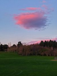 Trees on grassy landscape against clouds