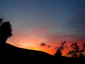 Silhouette of trees at sunset