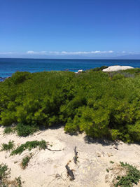 Scenic view of sea against clear blue sky