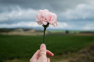 Close-up of hand holding pink flower against sky