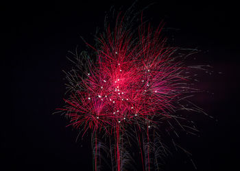 Low angle view of firework display at night