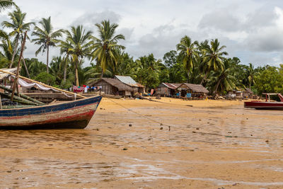 Beach with old boats at ebb, palm trees in background at lokobe nature strict reserve in madagascar