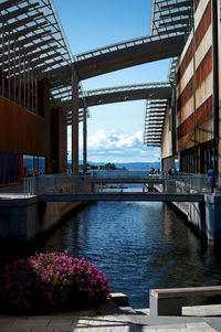 View of bridge over river in city