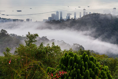 Scenic view of trees against sky in city