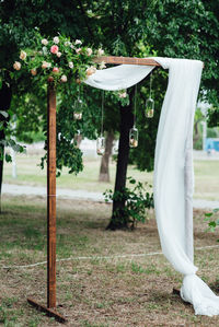 White flowers hanging from tree on field