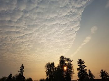 Low angle view of silhouette trees against sky during sunset