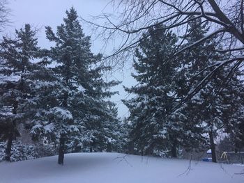 Trees on snow covered landscape against sky