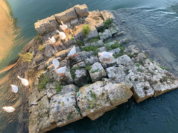 High angle view of rocks on beach