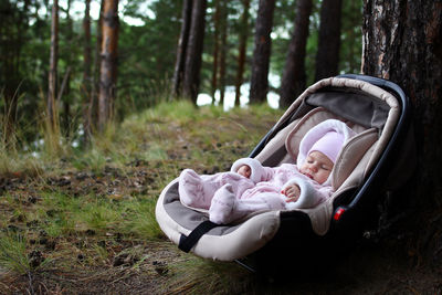 Close-up of baby in carriage against tree trunk in forest