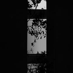 Built structure with trees in background