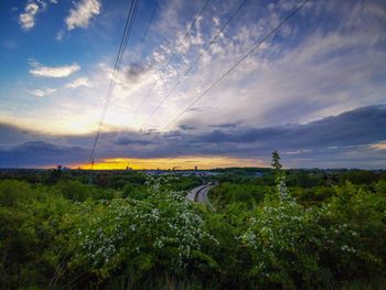 Scenic view of field against sky during sunset