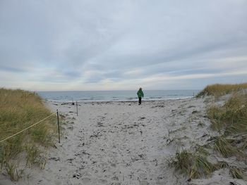 Rear view of man on beach against sky