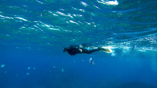 Full length side view of woman scuba diving undersea