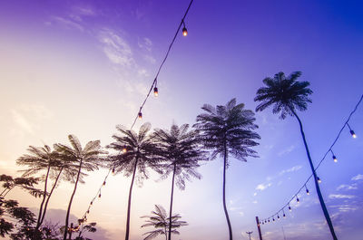 Low angle view of palm trees and illuminated string lights against sky