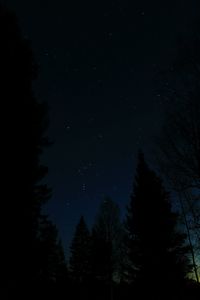 Low angle view of trees at night