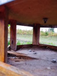 View of abandoned car window