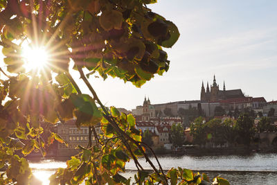 Sun shining over river amidst buildings