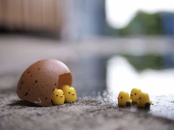 Close-up of yellow stuffed toy
