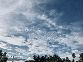 Low angle view of palm trees against blue sky