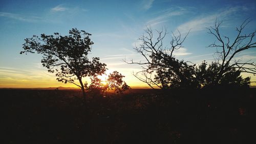 Silhouette trees on landscape against sky at sunset