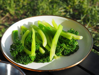 High angle view of food in plate on field