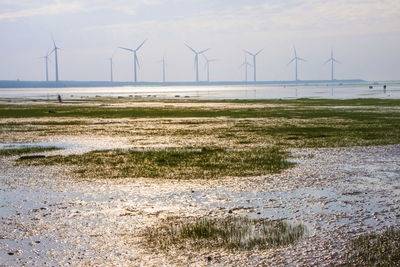 Windmills on field against sky