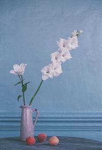 Close-up of white roses in vase on table against wall