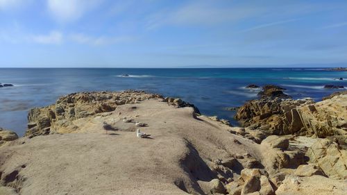 Scenic view of rocks on beach against sky