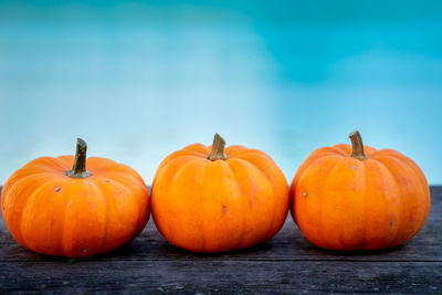 Three little pumpkins on a wooden table with beautiful blurred blue background