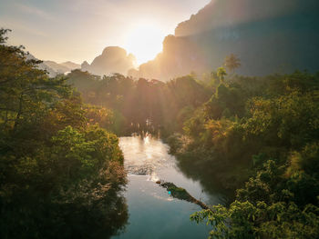 Scenic view of river amidst trees against sky