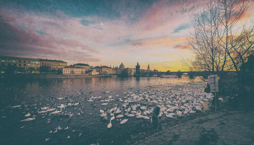Bridge over river by buildings against sky at sunset