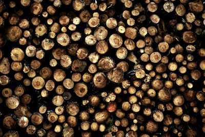 Full frame shot of logs