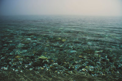 Scenic view of sea against clear sky