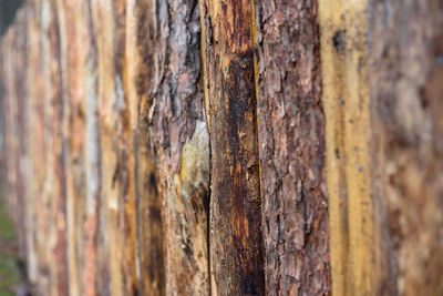 Close-up of wooden wall